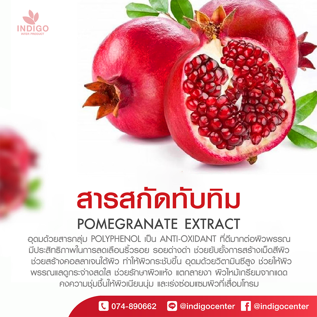 IMG-BLOG-Pomegranate Extract สารสกัดทับทิม