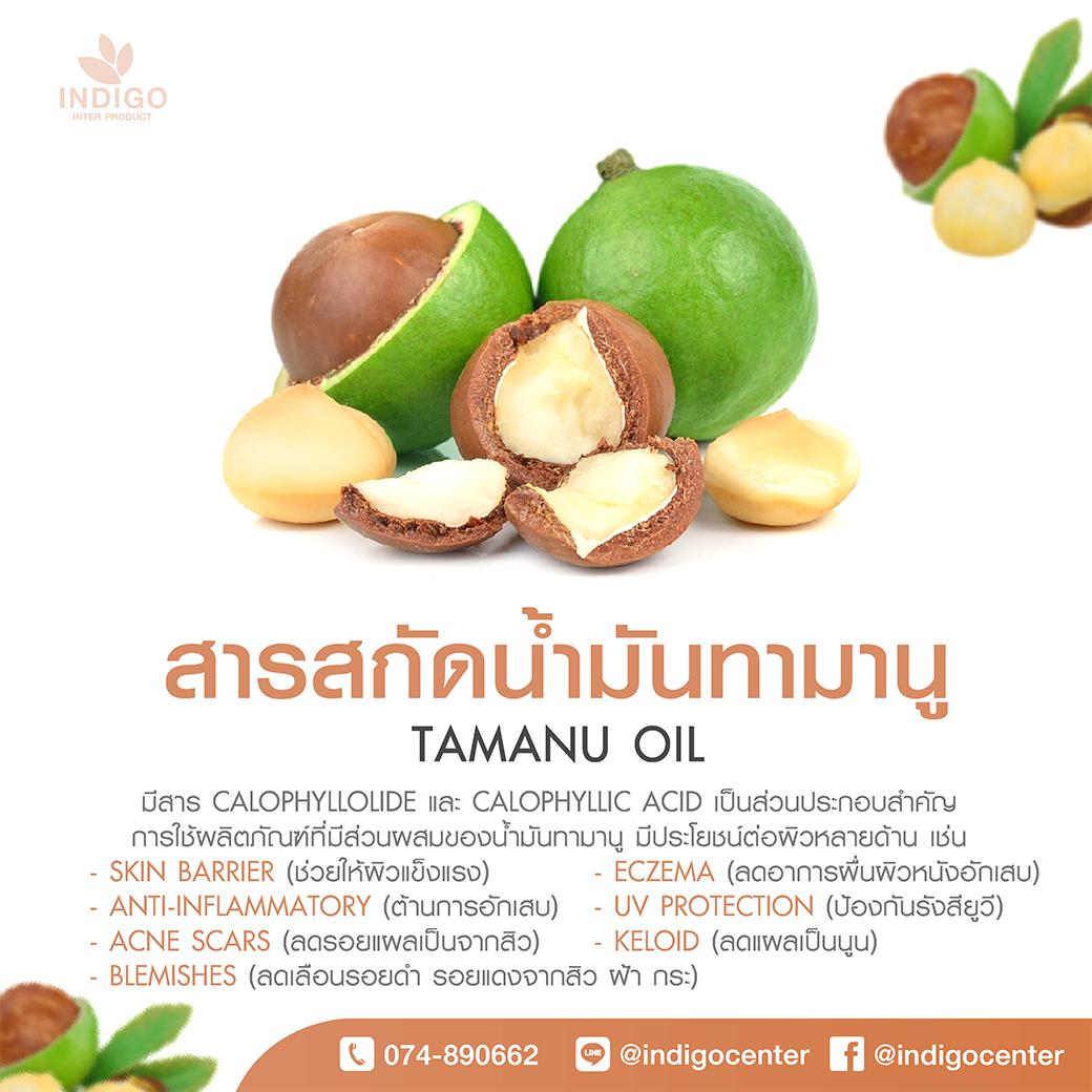 IMG-BLOG-Tamanu oil สารสดัดน้ำมันทามานู